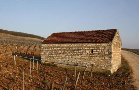 Goulleys perceel in premier cru Fourcheaume